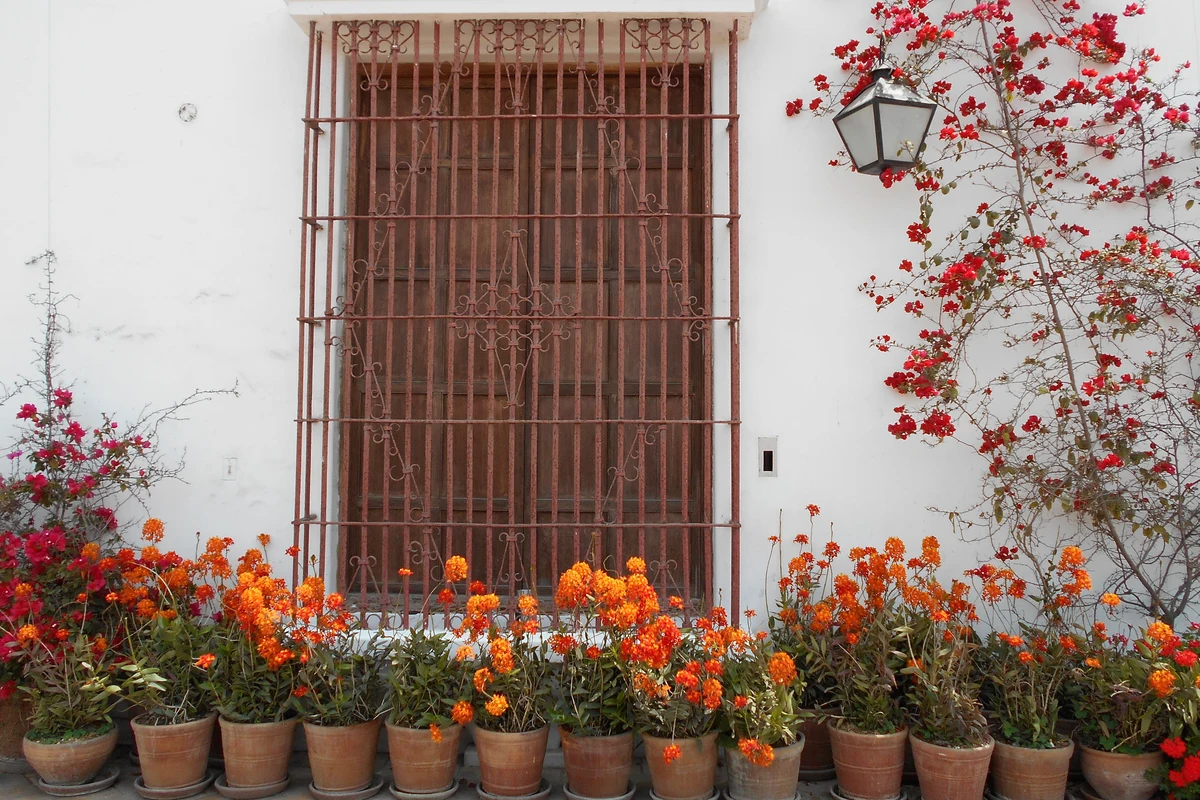 A whitewashed wall with a wrought-iron window grille and terracotta pots of flowers, representative of a Peruvian hacienda courtyard